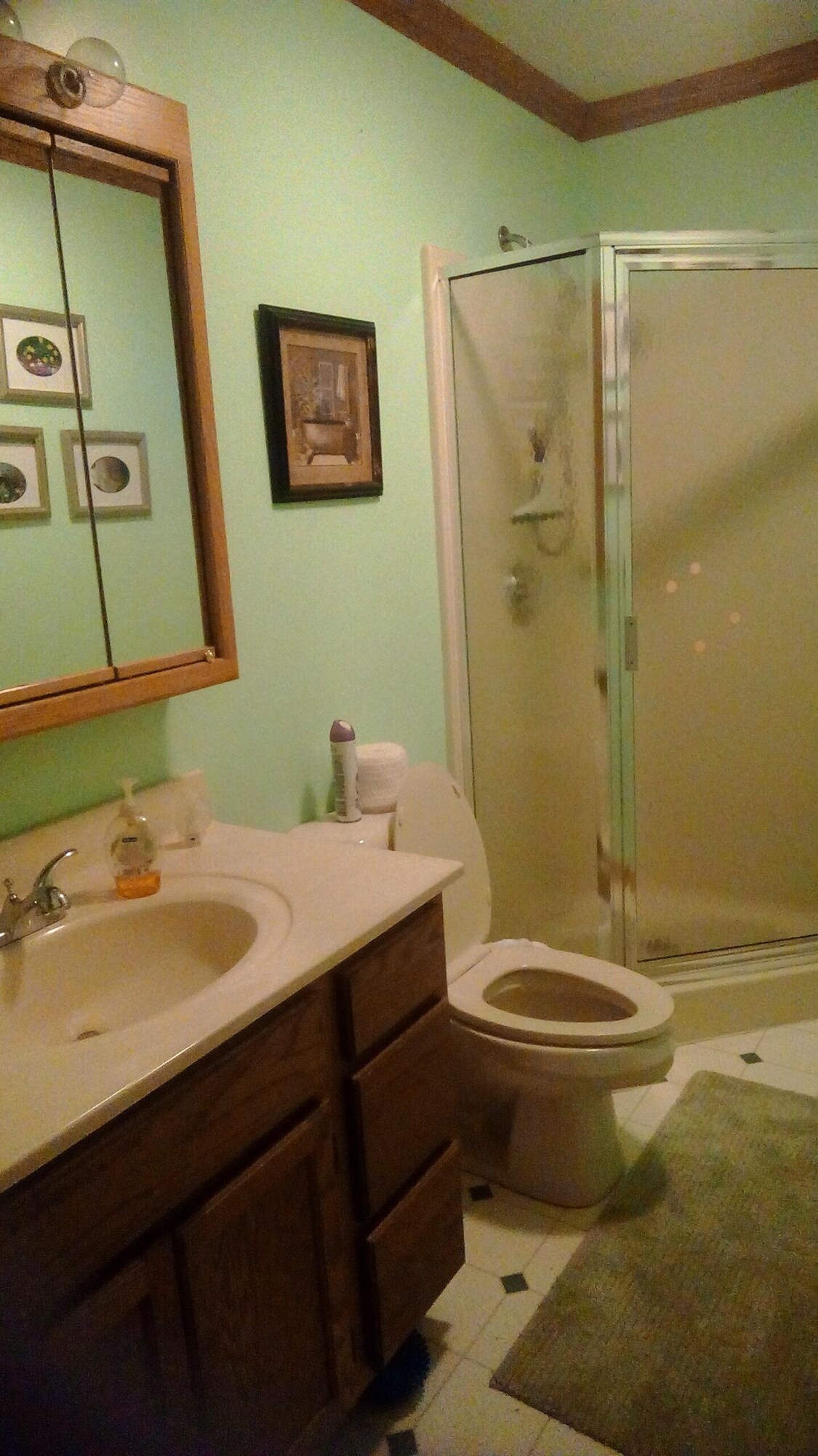 Kelly Cottage – Lake Michigan – Enough Room for the Entire Family. Pet Friendly