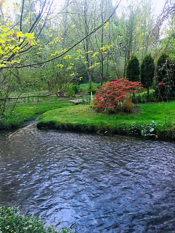 View from the porch and back yard