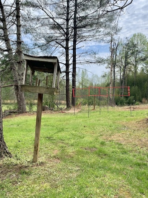 Terrain de sport