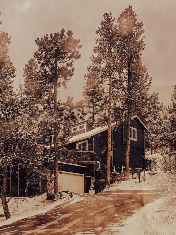 Exteriör