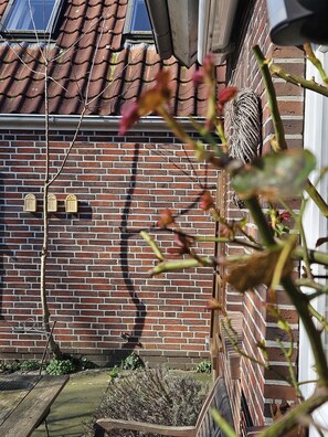 Detalj exteriör