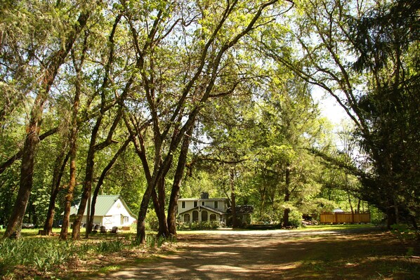 Boendeområde