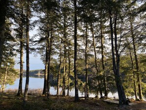 Boendeområde