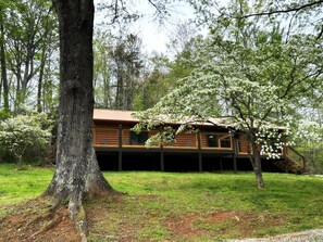 Huge Yard