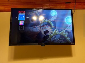 Television