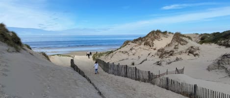 Strand