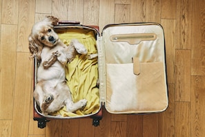 Pet Friendly- $50/pet, per stay