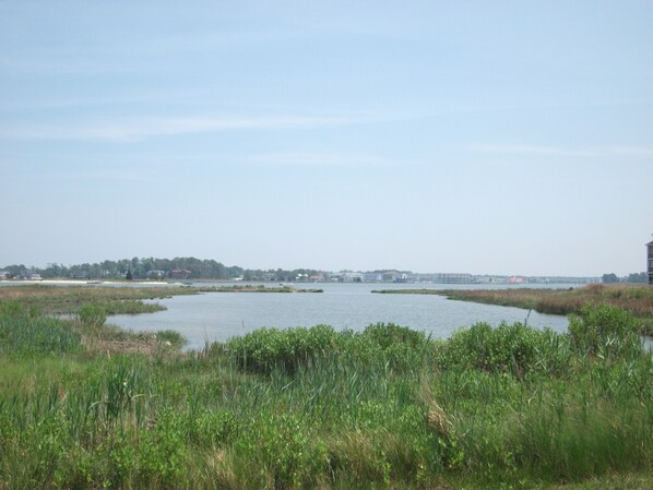 Bethany Bay Community