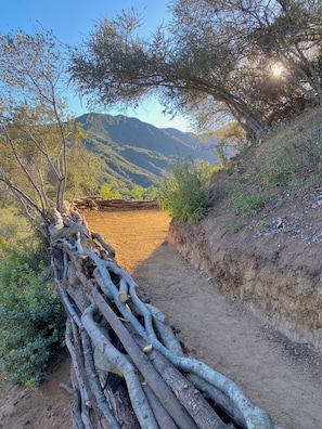 View from our private trails!