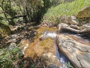 One of our 2 private creeks!