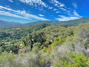 View from our private trails!