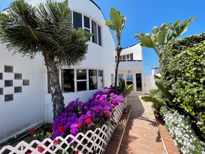 Beautiful plants to the front door