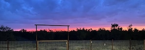 Backyard view