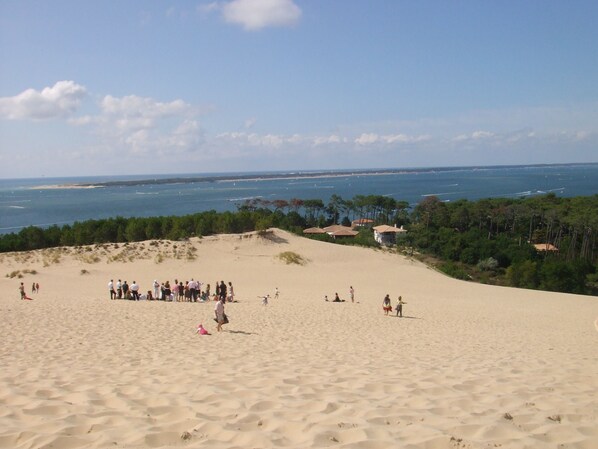 Strand