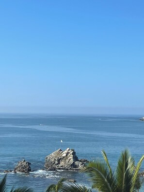 Beach/ocean view
