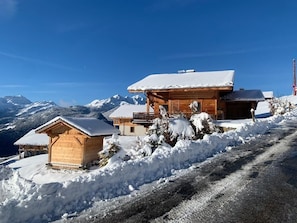 Exteriör