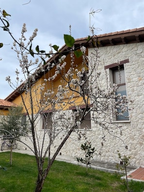 Fachada