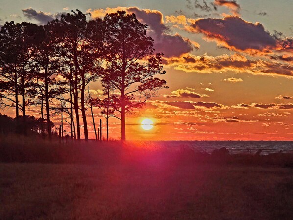 A winter sunset over the back field.
