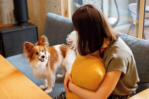 Up to 2 small dogs and medium sized dogs are allowed.