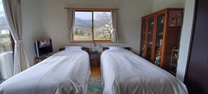 Two beds in the bedroom