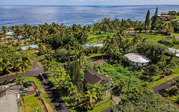Popaa Palms in Ocean close walking neighborhood, Pahoa, Hawaii