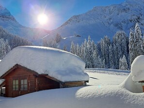 Alpen-Appartement Doris