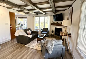 Living room and Fireplace