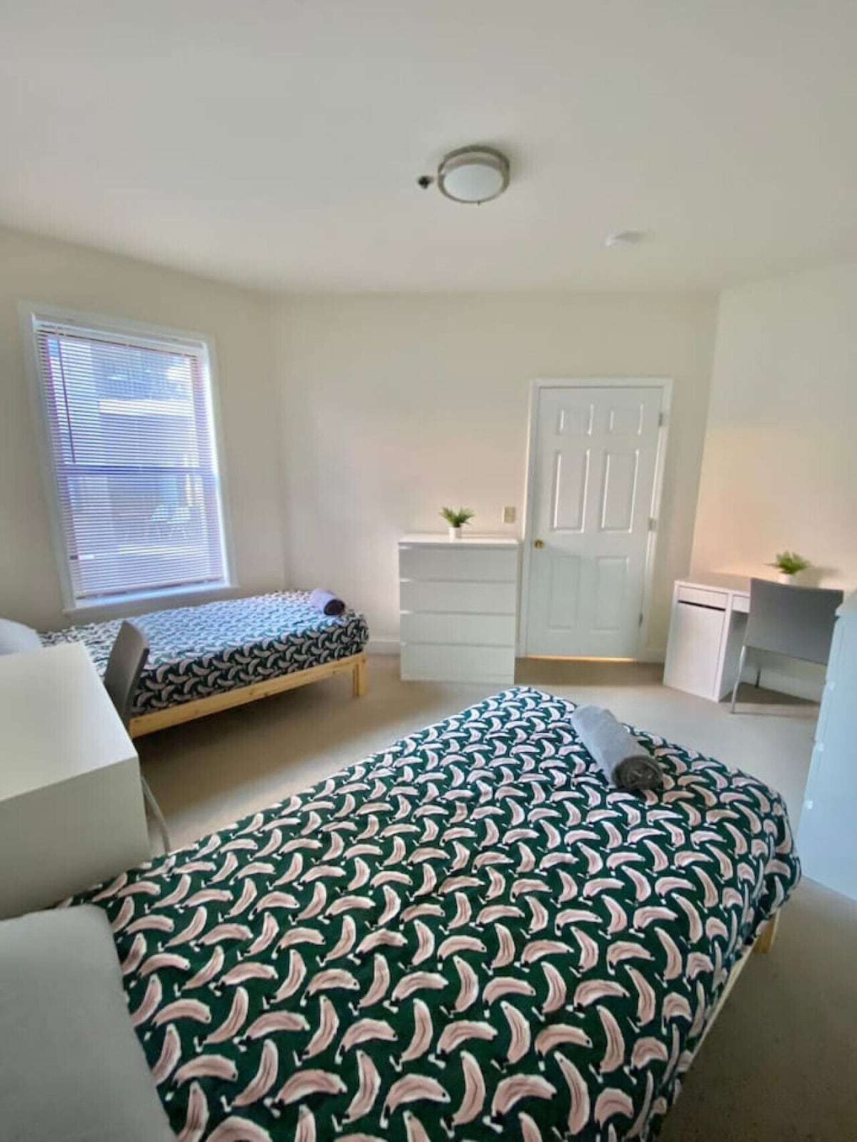 109-2 Bed/2bath – Perfect for Working Remotely!