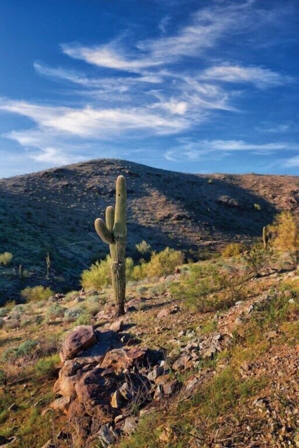Phoenix-South_20Mountain_20WBW_20AM_20035_S