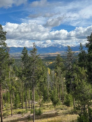 Fall view with golden aspen leaves and snow peaked mountains