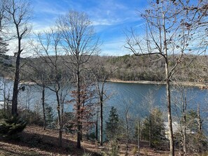 Gorgeous Views of the Peaceful Cove w Rope Swing- kayak, paddleboad, fishing and big floats available 