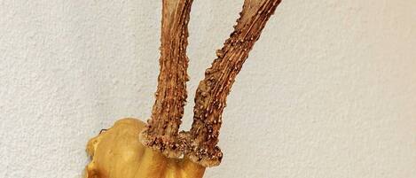 Innendetails