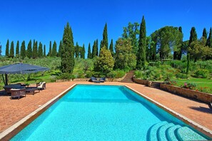 Garden, Outdoor, Pool