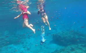 Crystal clear water and fish everywhere