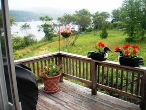 Seal Cove Pond View