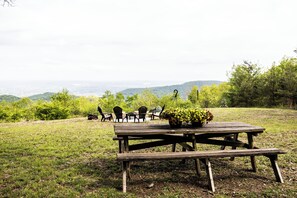 Picnic with a view!