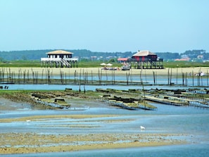 Wasser, Himmel, Pflanze, See, Bank, Natürliche Landschaft, Gras, Wiese, Landschaft, Freizeit