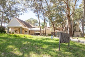 Trädgård