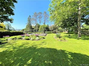 Backyard Garden