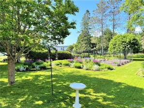 Backyard Garden