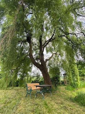 Table et banc sous le saule