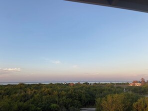 View from property