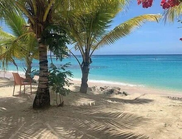 Beachfront Studio Apartment, Barbados (619)