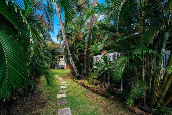 Beyond the white gate lies a tropical paradise, where sunlight filters through palm trees, casting serene shadows on the pathway.