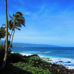 Picture the rhythmic melody of waves crashing against the rocks, crafting a soothing symphony.