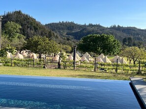 Glamping tents