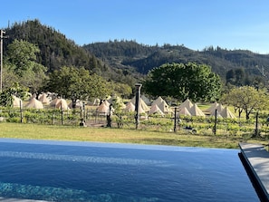 Glamping tents