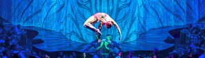 Riviera Maya Cirque Du Soleil Joya