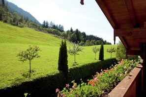Patio / Balcony