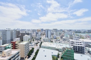 Vista desde la propiedad
